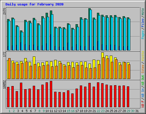 Daily usage for February 2020