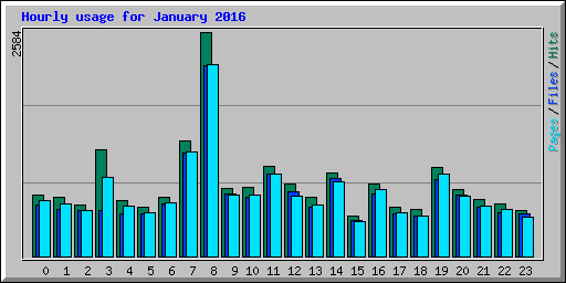 Hourly usage for January 2016