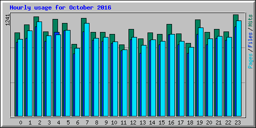 Hourly usage for October 2016