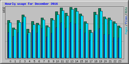Hourly usage for December 2016