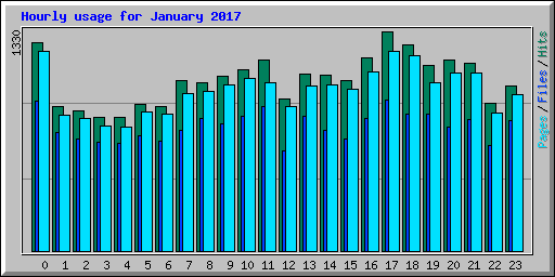 Hourly usage for January 2017