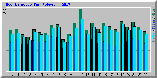 Hourly usage for February 2017