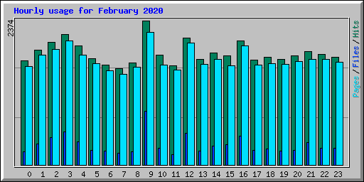 Hourly usage for February 2020