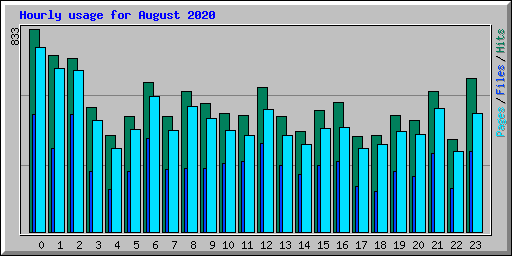 Hourly usage for August 2020