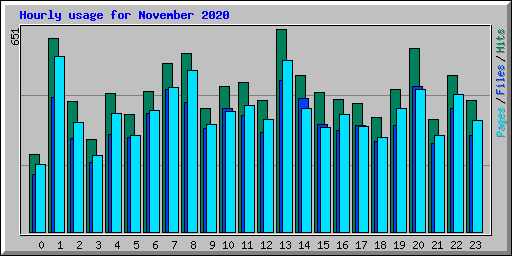 Hourly usage for November 2020