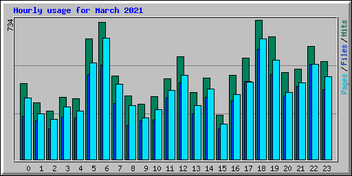 Hourly usage for March 2021