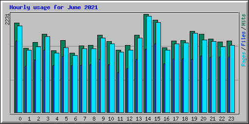 Hourly usage for June 2021