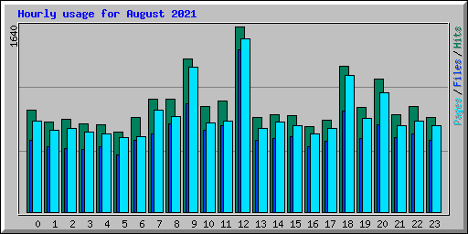 Hourly usage for August 2021