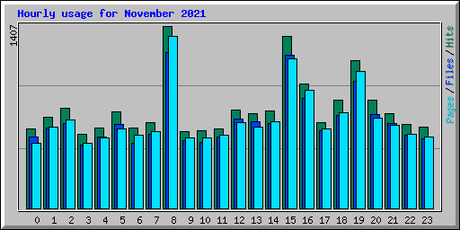 Hourly usage for November 2021