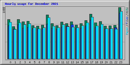Hourly usage for December 2021