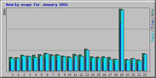 Hourly usage for January 2022