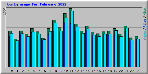 Hourly usage for February 2022